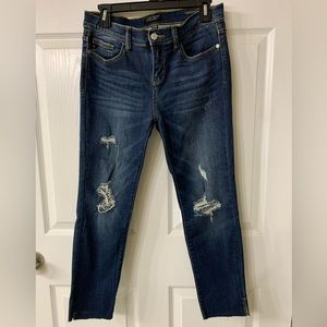 Judy Blue Skinny Fit Jeans